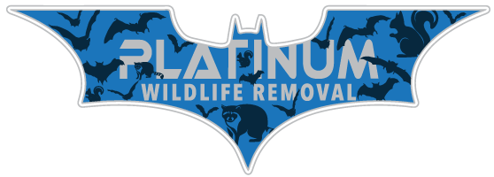 Gaines Wildlife Control